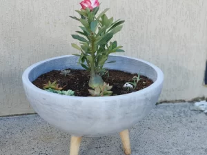 Fiber clay planting pot - shallow base